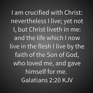 Meet your Posher, Jeffrey